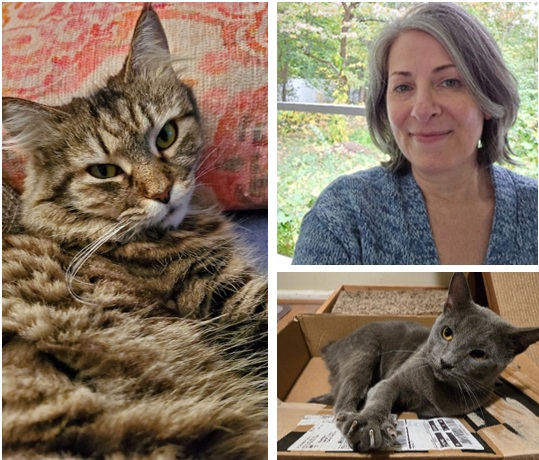 Beth Ann, Pet Sitter/Walker