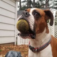 Bailey_02