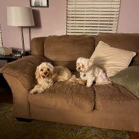 Baxter&Tessa