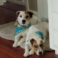 Dylan&Rosie