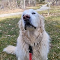 Knox_01