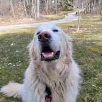 Knox_02