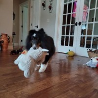 Kolby_01