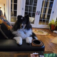 Kolby_02