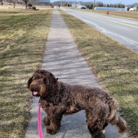 Nausett_01