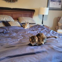 Snickers&Sisi
