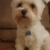 Tessa_01